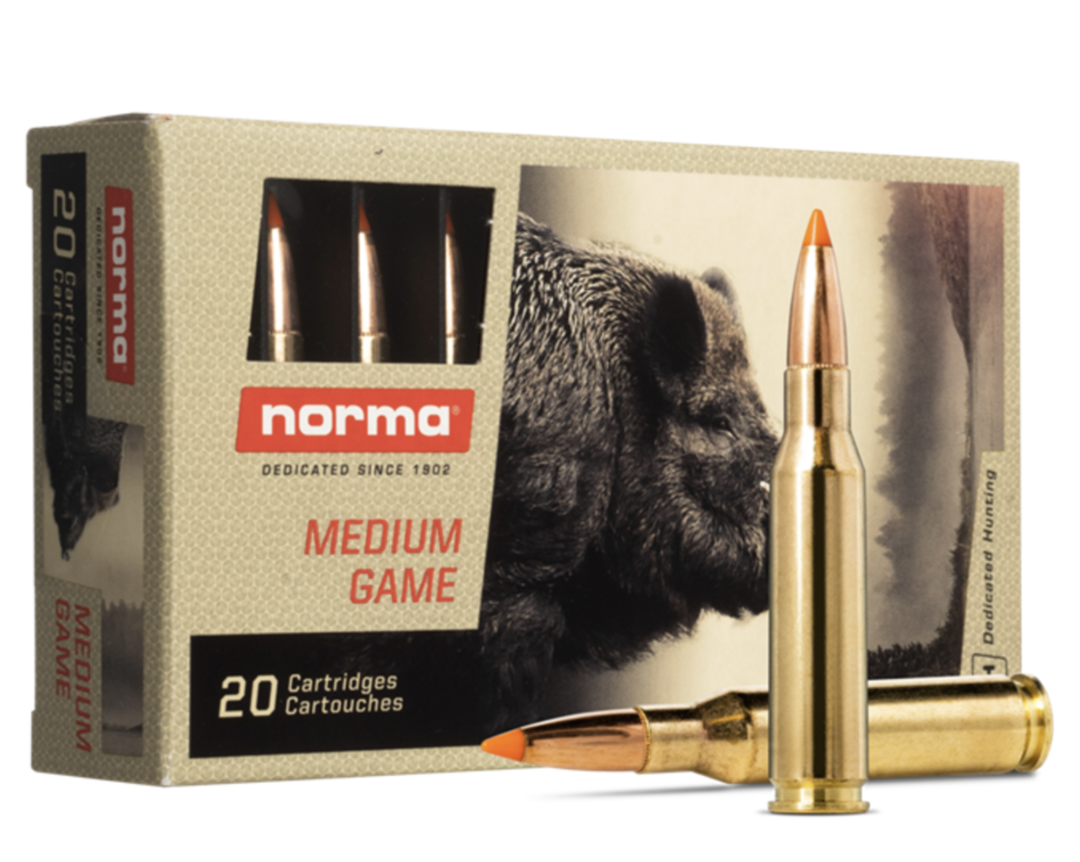 Norma 6.5x55 140gr Tipstrike (x20) image 0